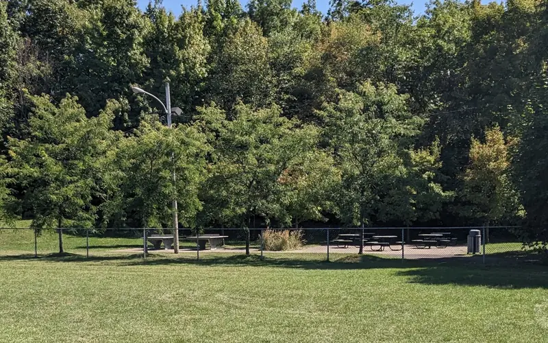 Mesas de ténis de mesa instaladas num parque público, disponíveis para uso livre